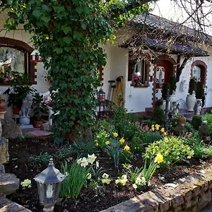 Gasthof Haus Buena Vista Bad Kissingen